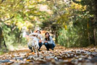 パパさんとママさんと♡