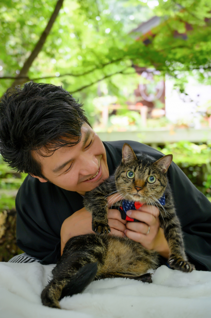 新郎×猫