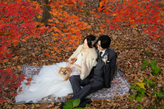 大切な愛犬と一緒に♡優しさに満ちた秋のロケーションフォト