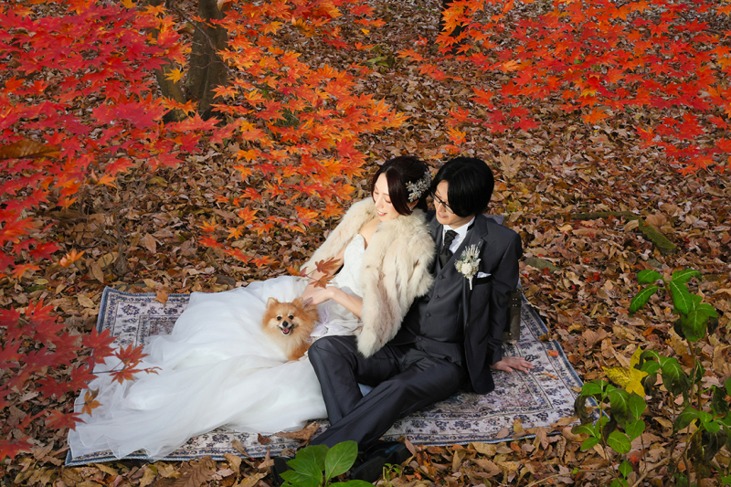 大切な愛犬と一緒に♡優しさに満ちた秋のロケーションフォト