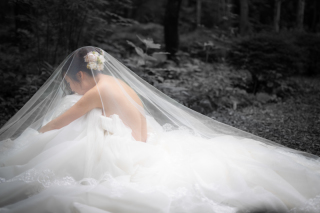 台湾から日本旅行の記念に