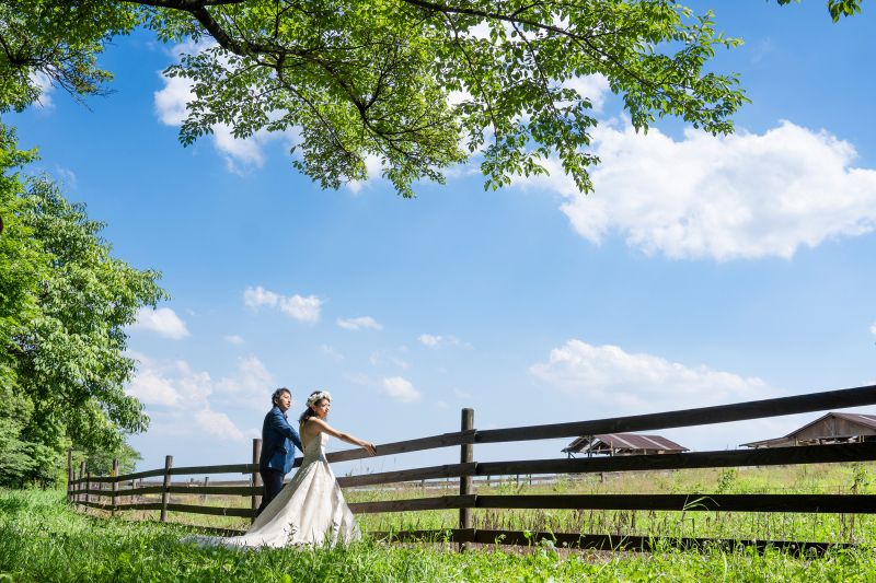 開放感溢れる牧場