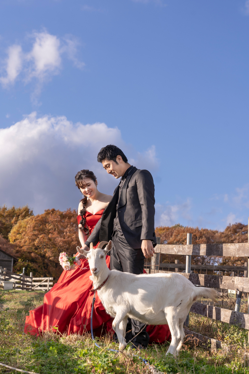 仲間に入れて♪