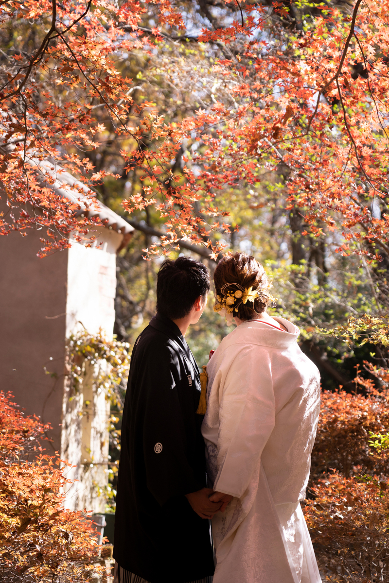 紅葉と夕暮れに