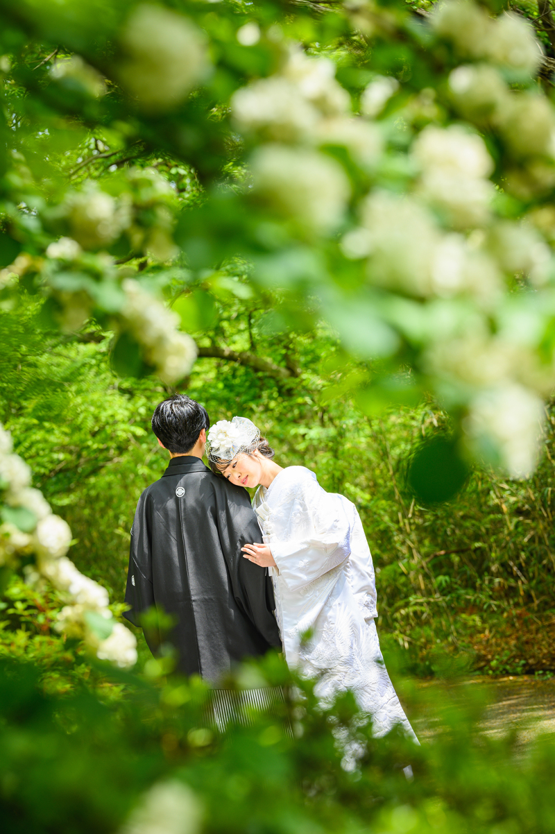 花の下