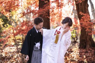 ゴージャス３着