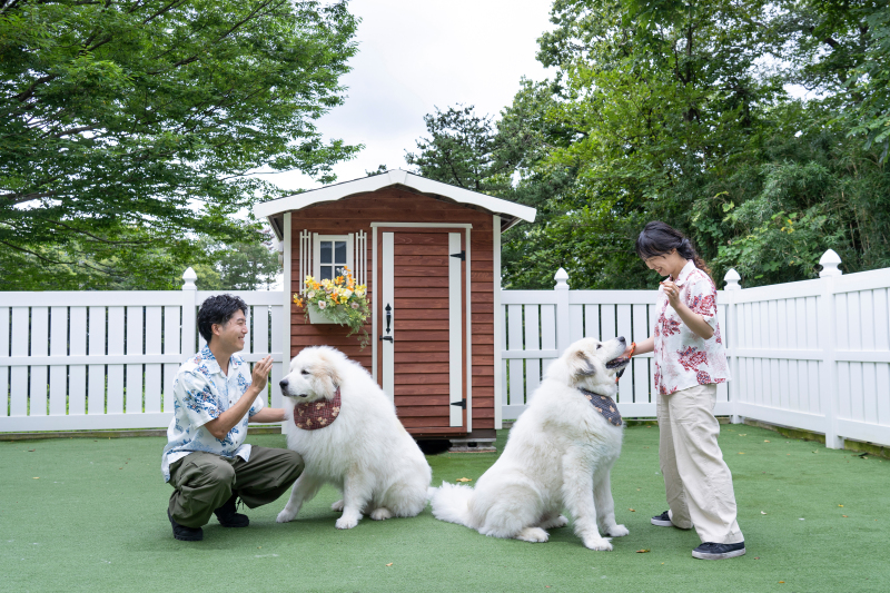 看板犬とあいさつ♪