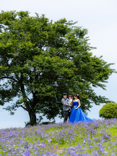 大きな愛と、大きな木
