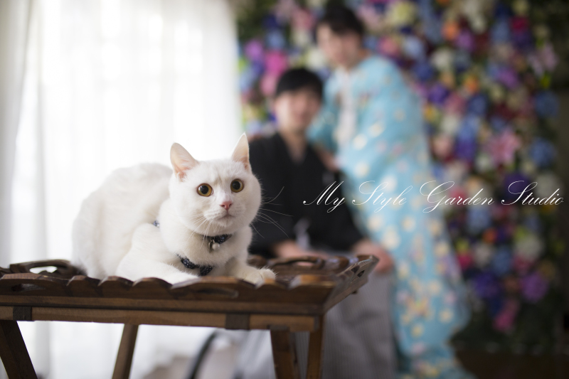 愛猫と♡