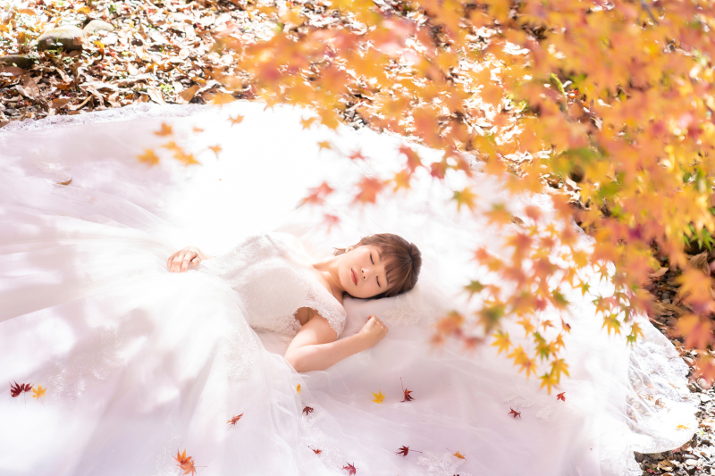 童話の世界のような