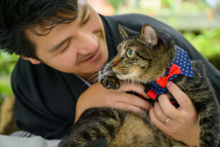 大好きな猫と一緒に和装1着撮影