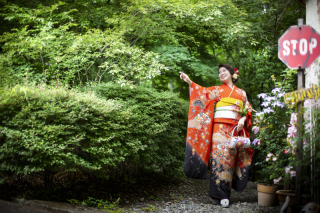 緑の中に映える朱色