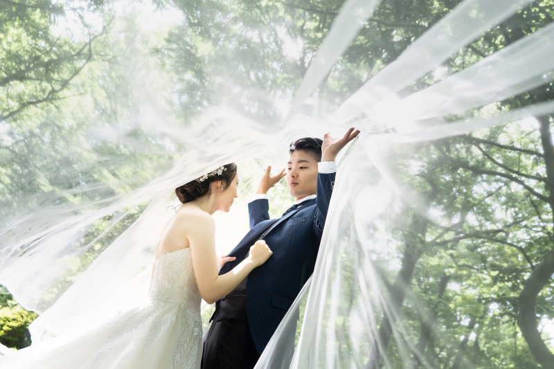 心奪われる一枚