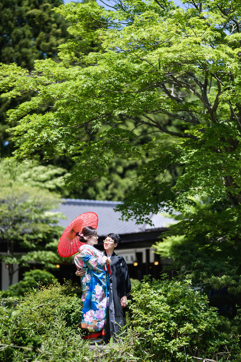 緑の中