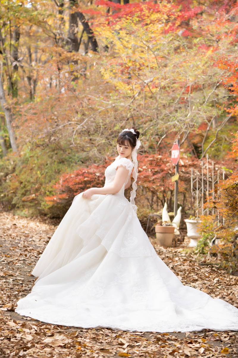 紅葉にピッタリ