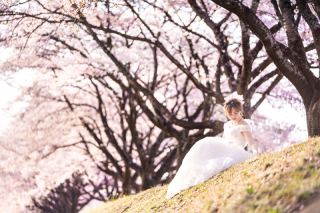 My Style Garden Studio 