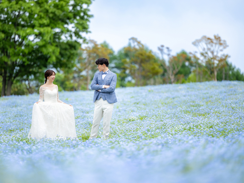 My Style Garden Studio 