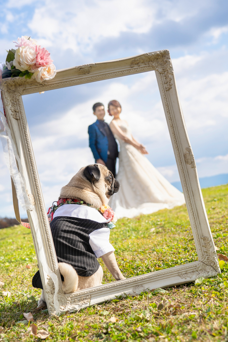 My Style Garden Studio 