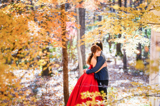 My Style Garden Studio 