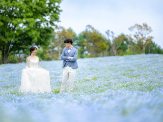 My Style Garden Studio 