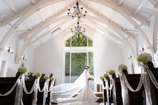 My Style Garden Studio 