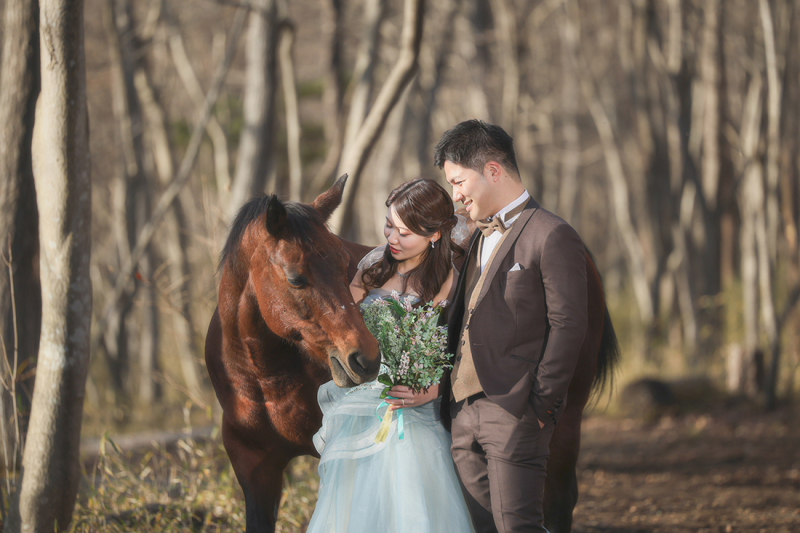 My Style Garden Studio 