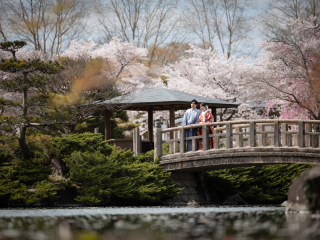 那須の四季で彩られた、大池を中心とした日本庭園