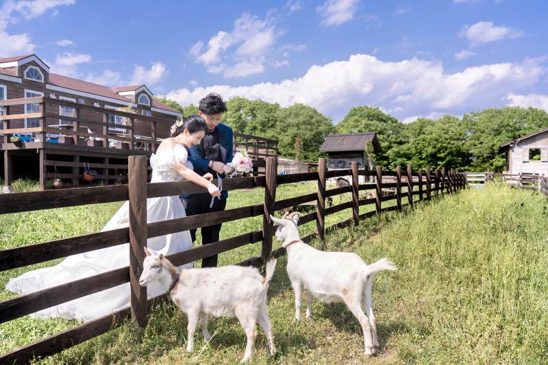 フォレスト ウェディング での特別な思い出