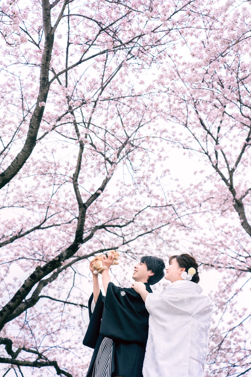 My Style Garden Studio _ペットと一緒に撮影できる