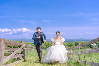 My Style Garden Studio 