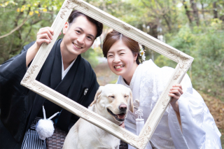 My Style Garden Studio 