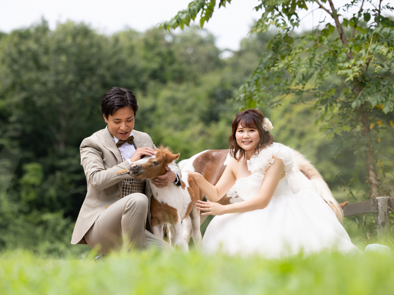 「やりたい・やりたくない」を打合せ