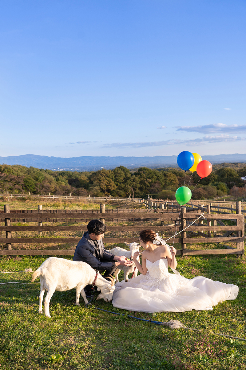 20以上ある撮影シーン