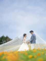 My Style Garden Studio _【4〜6月】新緑＆花畑♪早割4大特典　対象