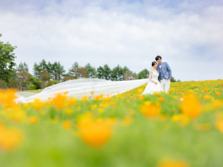 My Style Garden Studio _【4〜6月】新緑＆花畑♪早割4大特典　対象