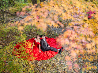 My Style Garden Studio _【9〜11月撮影◆秋ロケ】紅葉やコスモス！ペット＆家族撮影OK