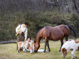 My Style Garden Studio _【動物と】馬・ヤギ・牛・犬等とのふれあい♪