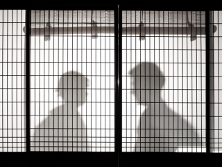 My Style Garden Studio _Pick UP