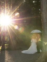 My Style Garden Studio _Pick UP