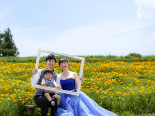 My Style Garden Studio _Pick UP