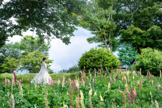 My Style Garden Studio _【4〜6月】新緑＆花畑♪早割4大特典　対象