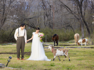 My Style Garden Studio _【動物と】馬・ヤギ・牛・犬等とのふれあい♪