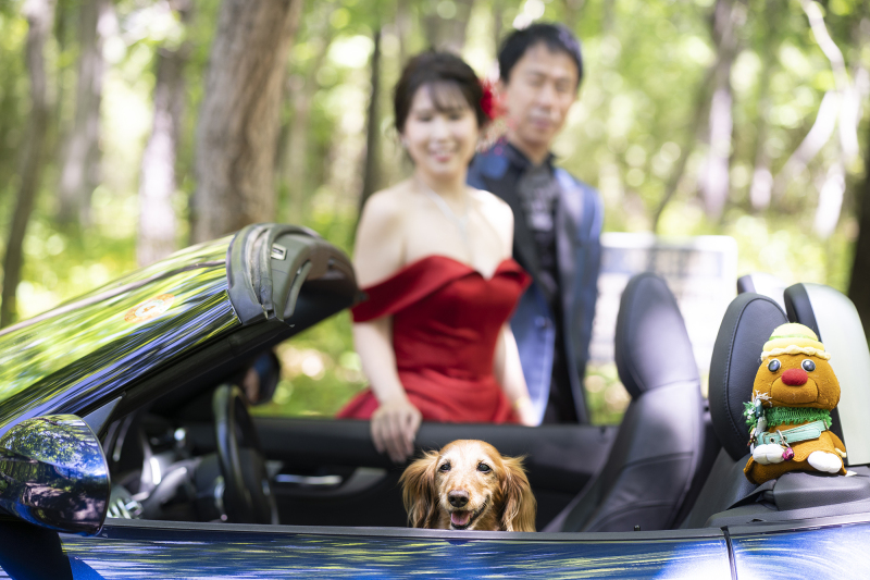 ペットちゃんと♡お好きな場所［2か所］で【和洋装２着】美肌修整写真データ80カットつき