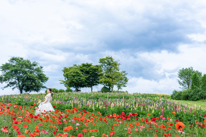 【ソロ3着】神社花畑OK<追加料金0円>80着以上から選べる衣装◆美肌・体型補整データ込♪