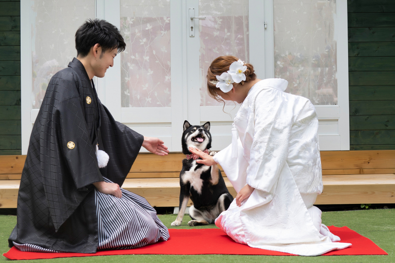 【400坪貸切・ペット同伴可】和洋装2着＆80カット◆全データ美肌修整付