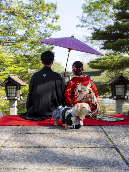ペットちゃんと♡お好きな場所［2か所］で【和洋装２着】美肌修整写真データ80カットつき