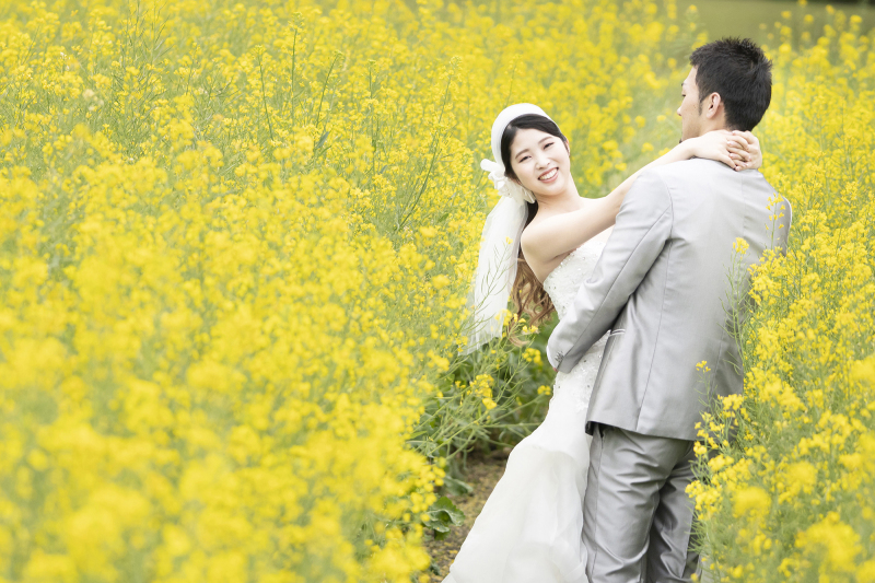 一面のお花に祝福されながら【洋装1着】洋館ロケーション［秋　コスモス］［春　菜の花］［夏　ひまわり］