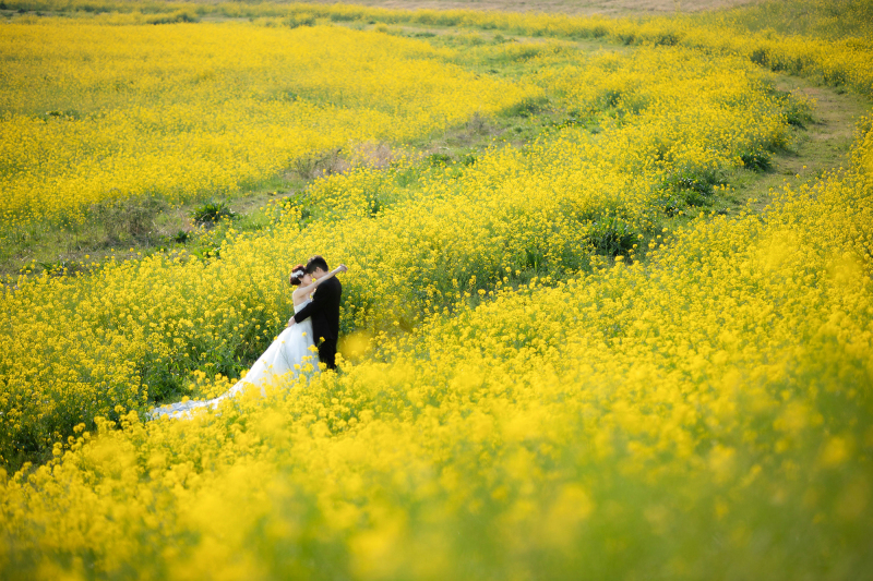 【4月/GW】菜の花&新緑洋館2着プラン◆衣装追加料金3万円OFF♪家族撮影&1.4万パネル付豪華4特典!美肌小顔補正データ込