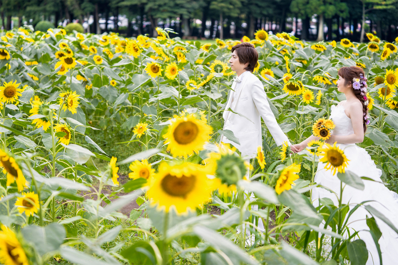 一面のお花に祝福されながら【洋装1着】洋館ロケーション［秋　コスモス］［春　菜の花］［夏　ひまわり］