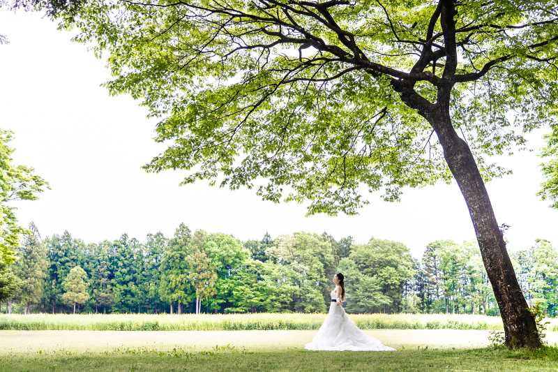 【4月/GW】菜の花&新緑洋館2着プラン◆衣装追加料金3万円OFF♪家族撮影&1.4万パネル付豪華4特典!美肌小顔補正データ込